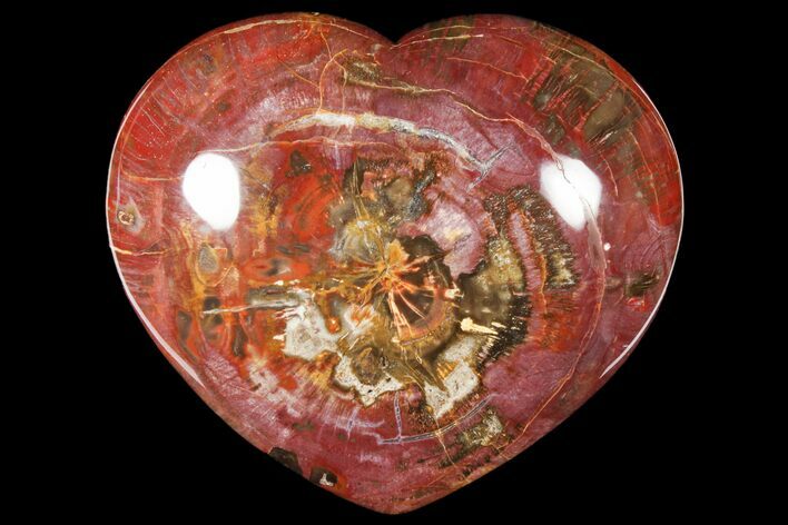Polished, Triassic Petrified Wood Heart - Madagascar #133620